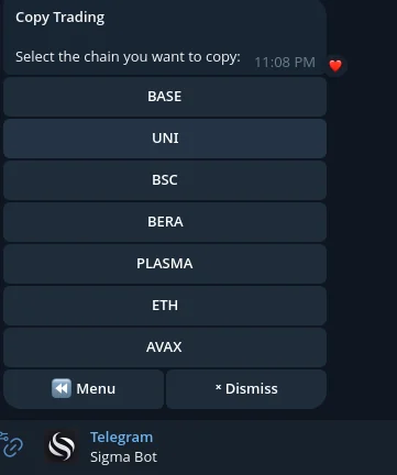 Sigma Bot copy trading showing multi-chain support